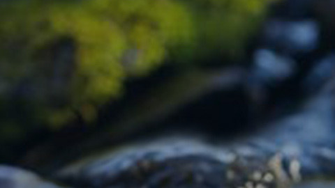 ��������վ����